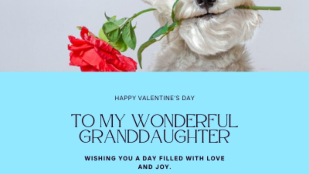Happy Valentine’s Card for GrandDaughter