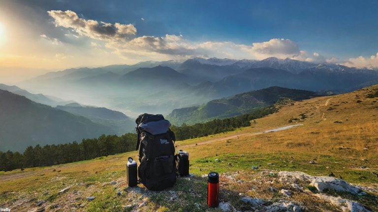 Thank You for the Tour