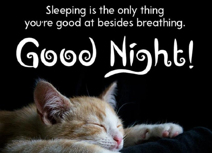 Funny Good Night Messages 5