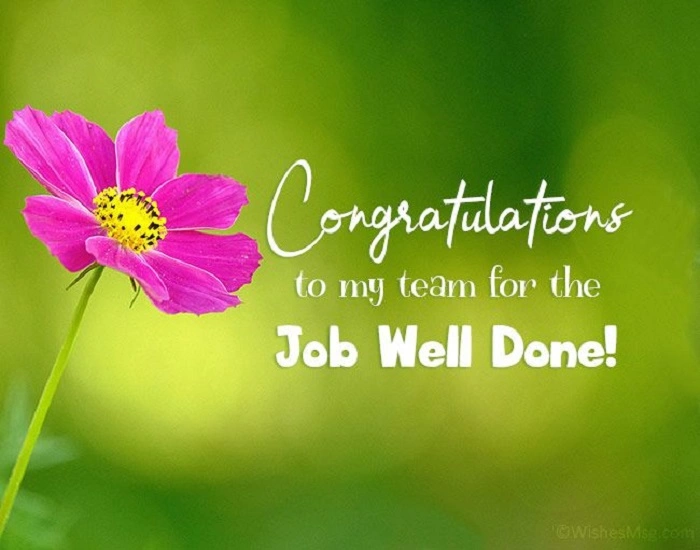 Thank You for Congratulations on a New Job