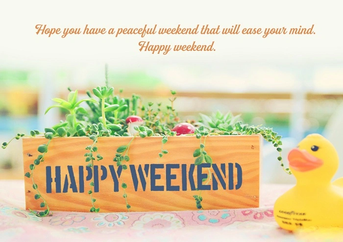 weekend wishes 7