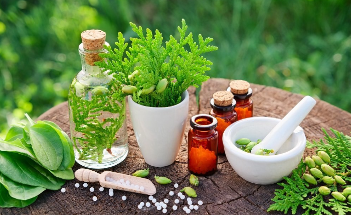 Herbal Flower for Sale – A Quick Guide for First-Time Buyers Screenshot 4 4