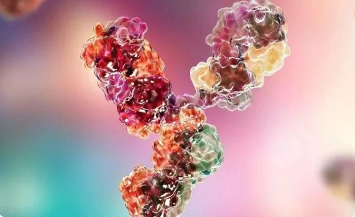 be8d441a b0c5 4d3f 95f2 8d6ec75f89dc