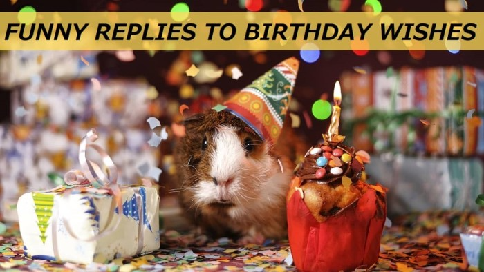 Funny Birthday Invitation Response Messages