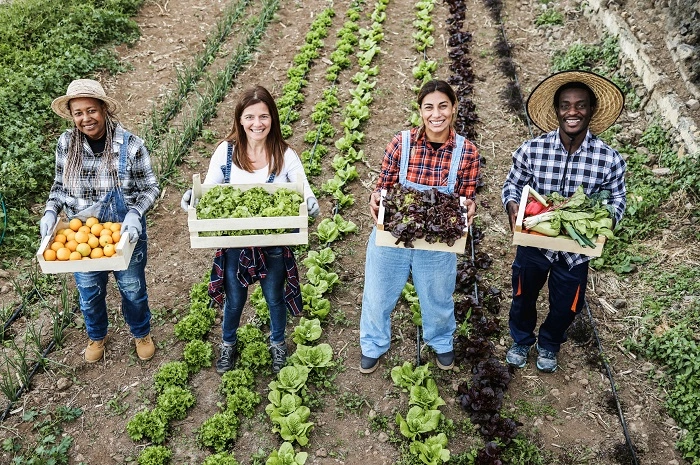 thank you note for farmers 2