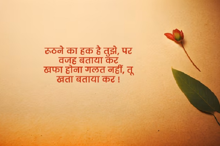 Sorry For Late Wish Messages In Hindi